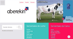 Desktop Screenshot of aberekin.com
