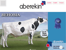 Tablet Screenshot of aberekin.com